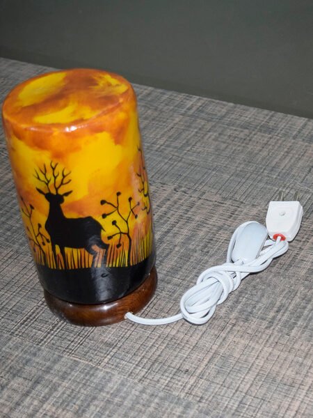 camel skin lamps in pakistan (1)