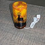 camel skin lamps in pakistan (1)