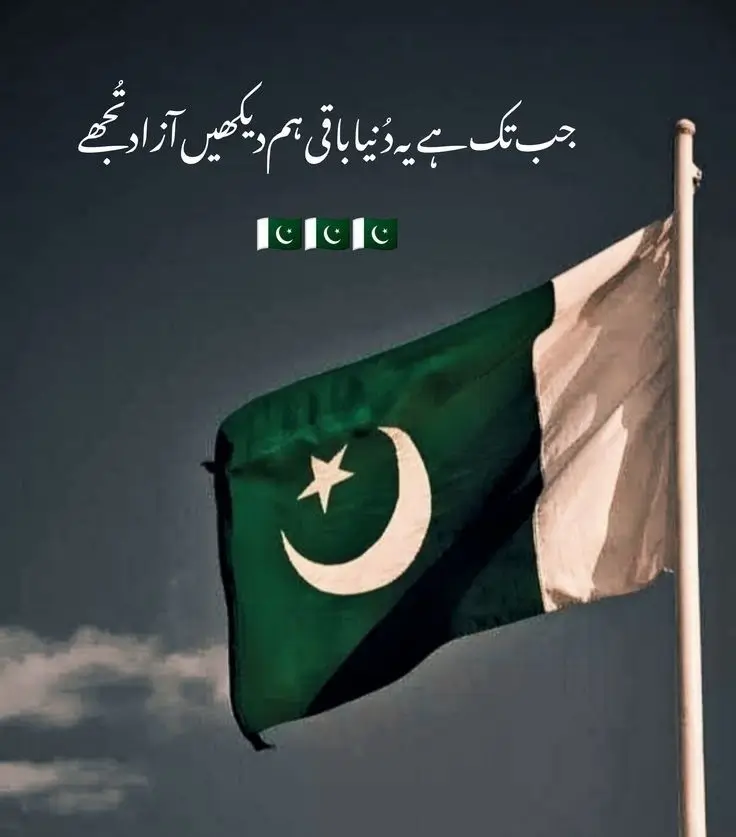 Celebrate Pakistan Independence Day 78th