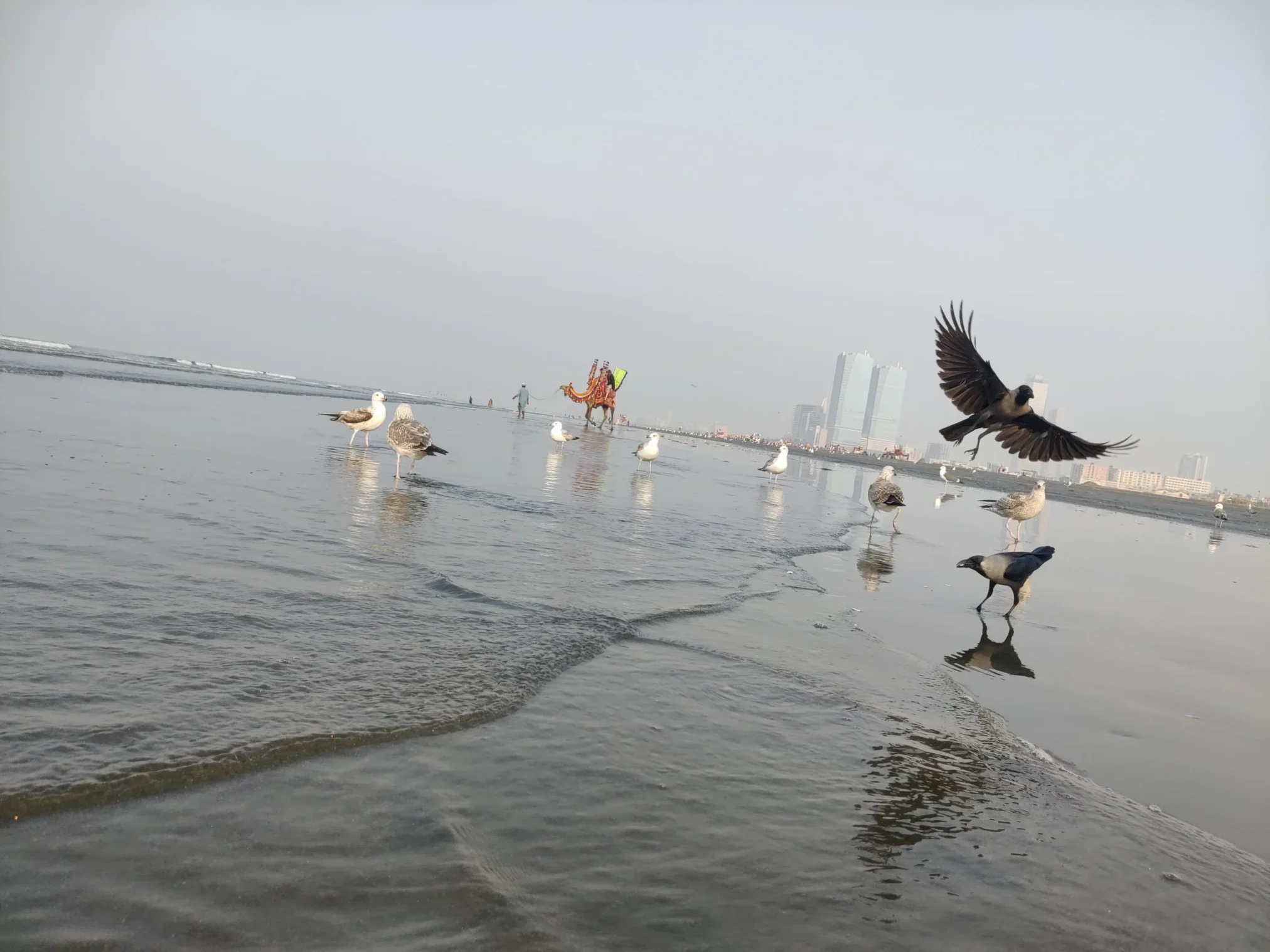 Karachi City of Lights and City of Quaid