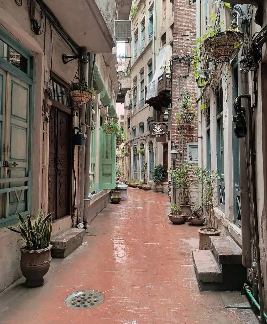 Delhi Gate Lahore – The Walled City of Lahore Ultimate Heritage (17)