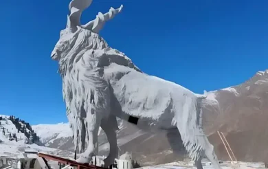 The World’s Largest Markhor Sculpture in Kaghan Valley (2)