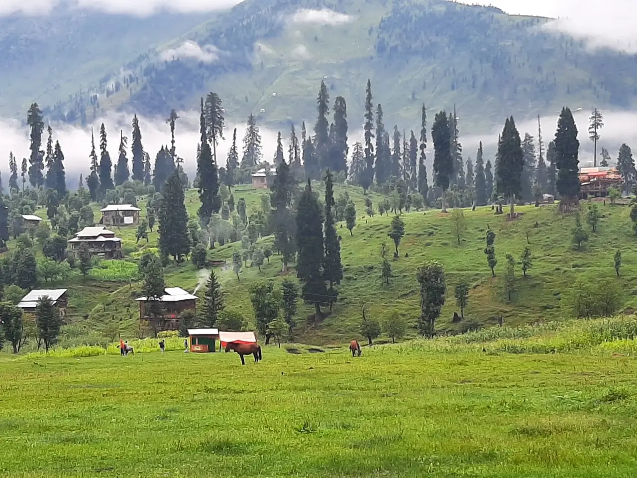 Bagh Azad Kashmir Postal Code