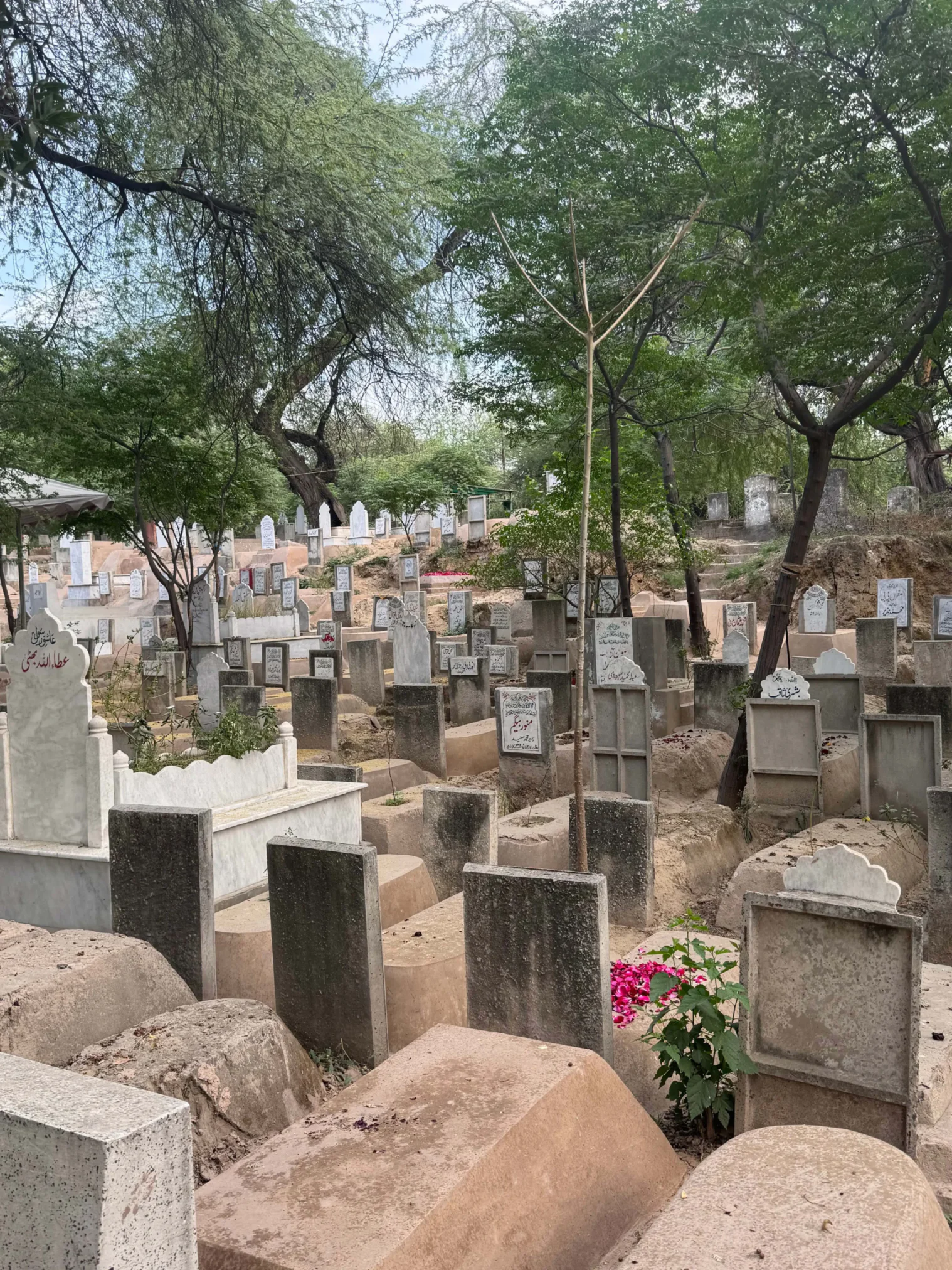 Miani Sahib Graveyard Lahore – History, Location & Famous Graves -110.webp