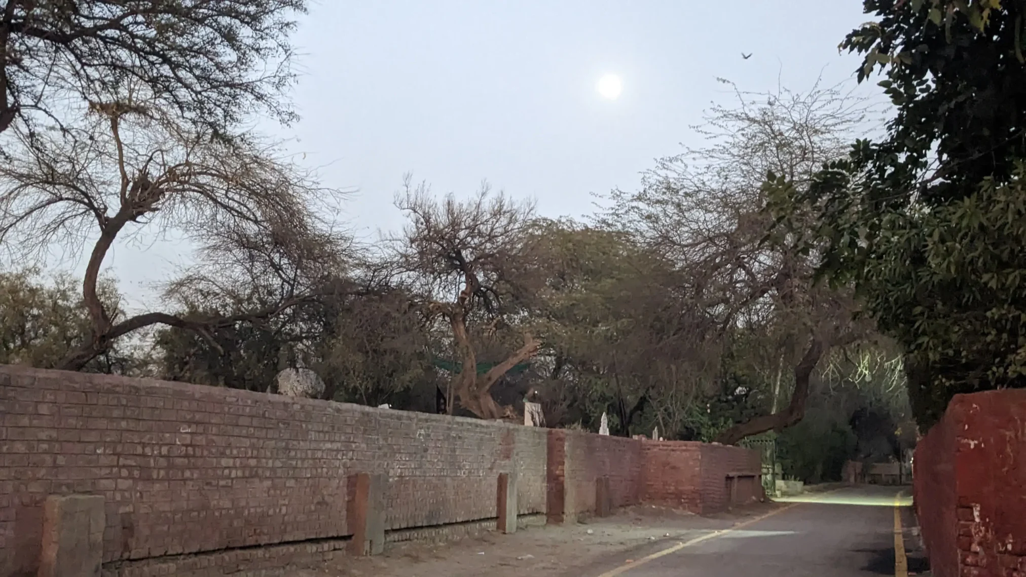 Miani Sahib Graveyard Lahore – History, Location & Famous Graves -110.webp