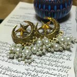 Half Moon Earrings