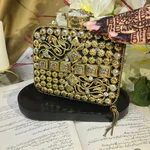 Metallic Acrylic Clutch