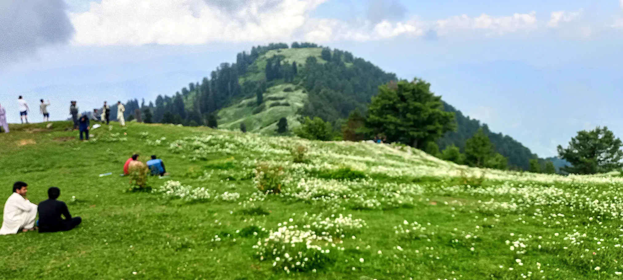 Mushkpuri Top Tour Trekking, Nature & Travel Guide (16)