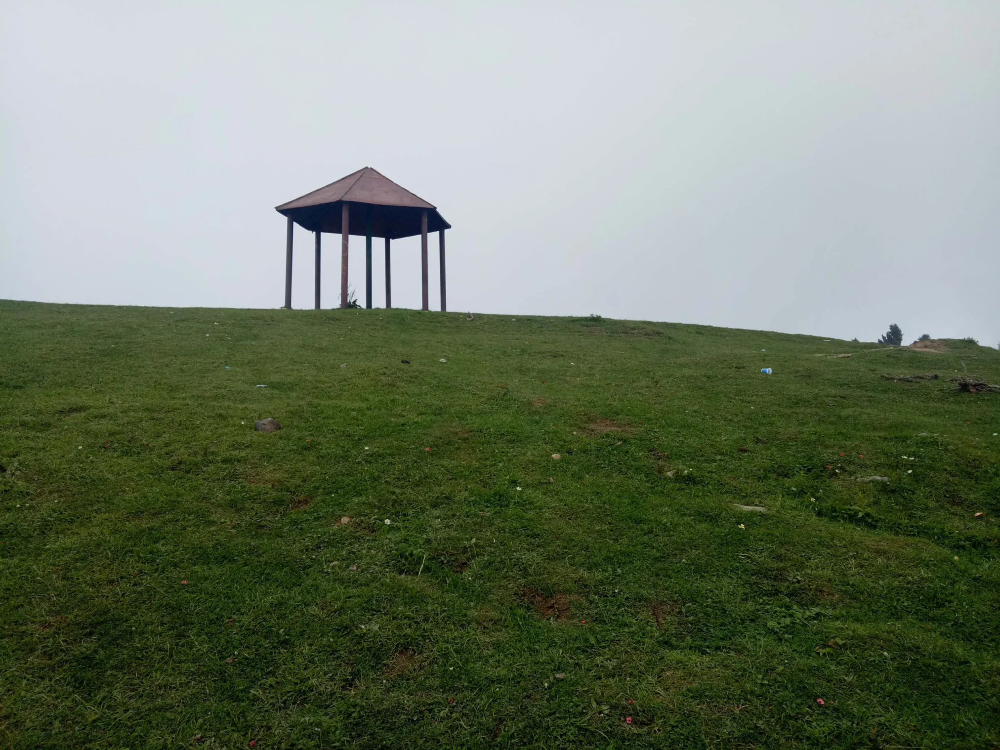 Mushkpuri Top Tour Trekking, Nature & Travel Guide (16)