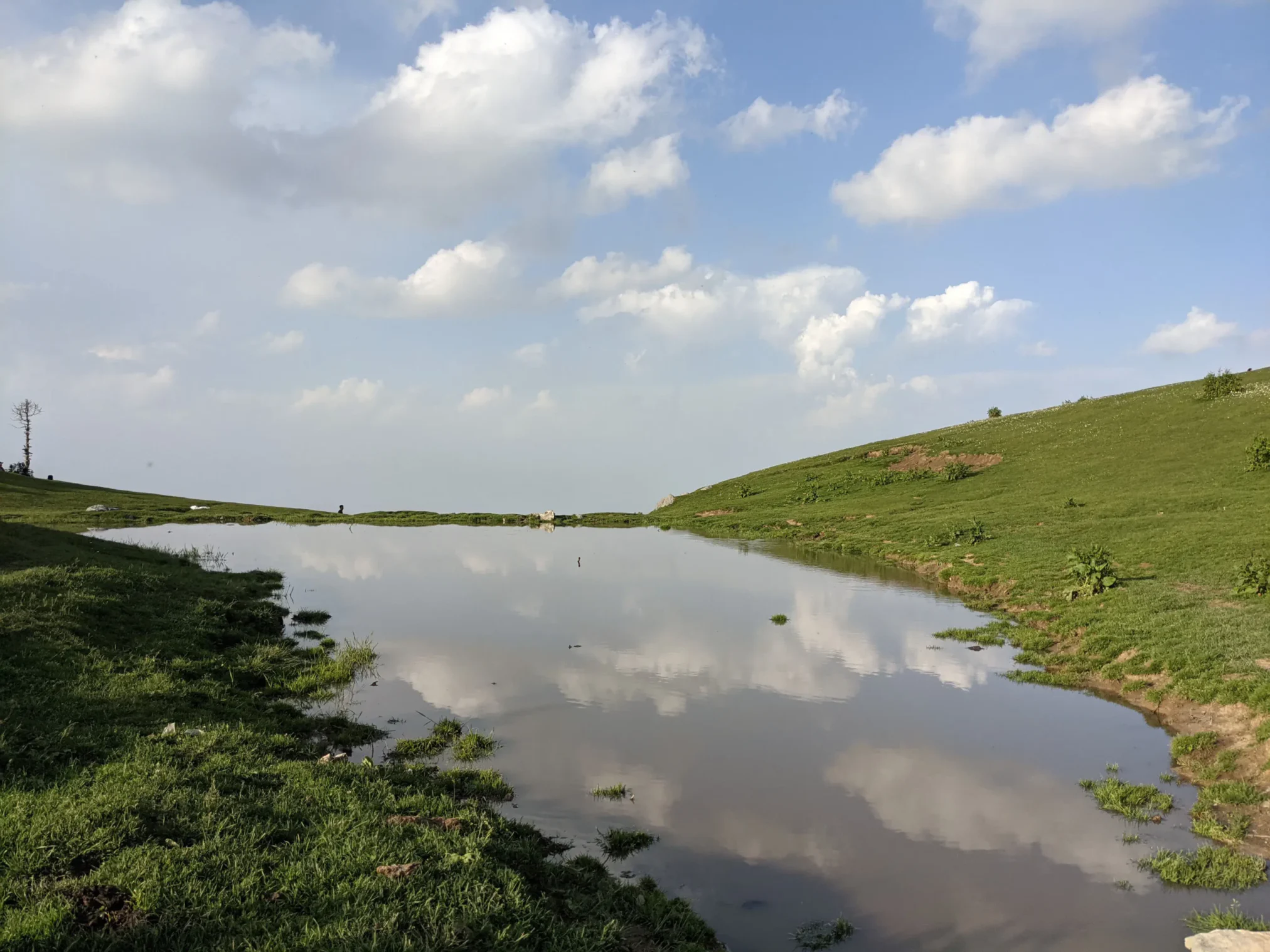 Mushkpuri Top Tour Trekking, Nature & Travel Guide (16)