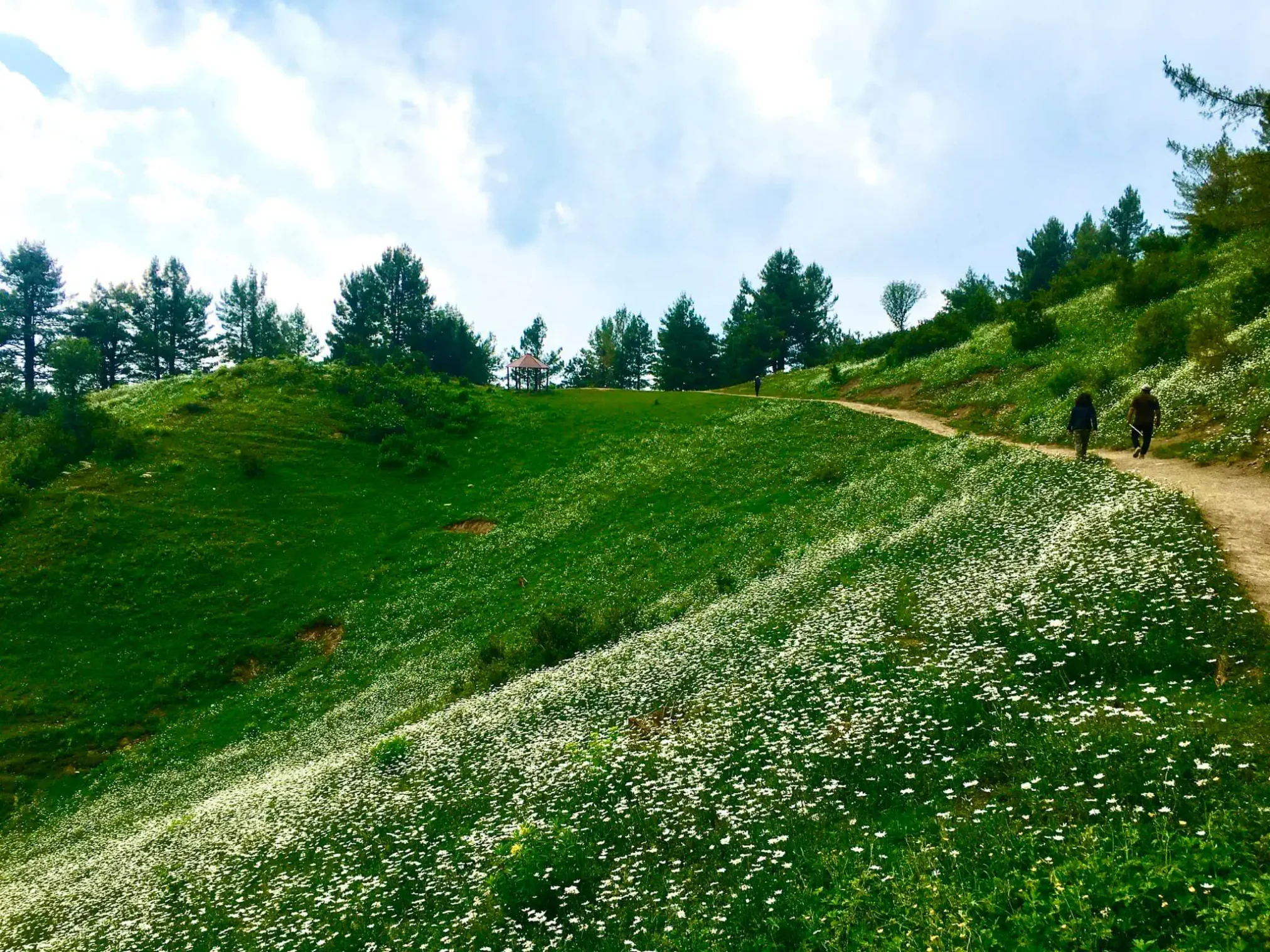 Mushkpuri Top Tour Trekking, Nature & Travel Guide (16)