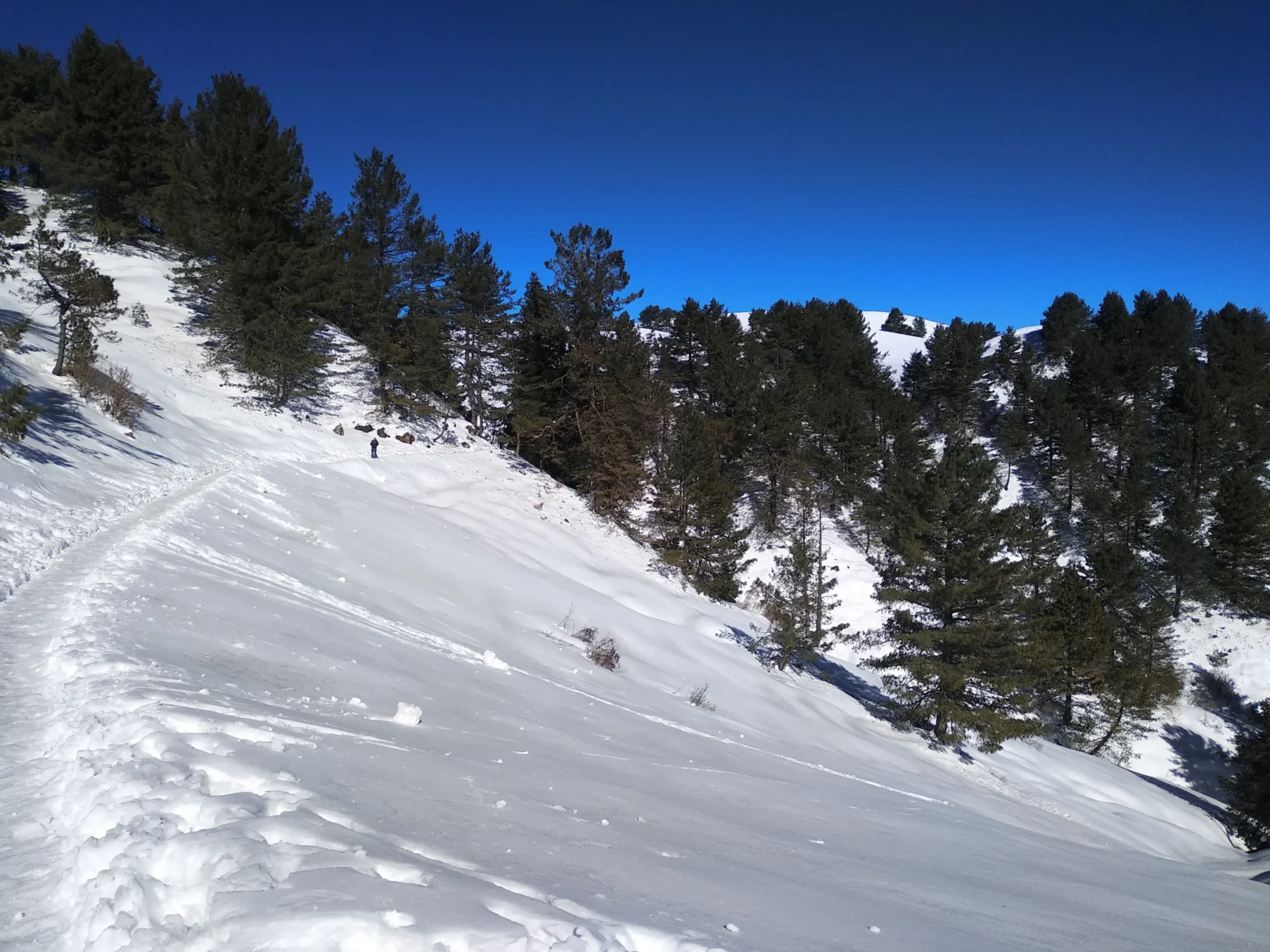 Mushkpuri Top Tour Trekking, Nature & Travel Guide (16)