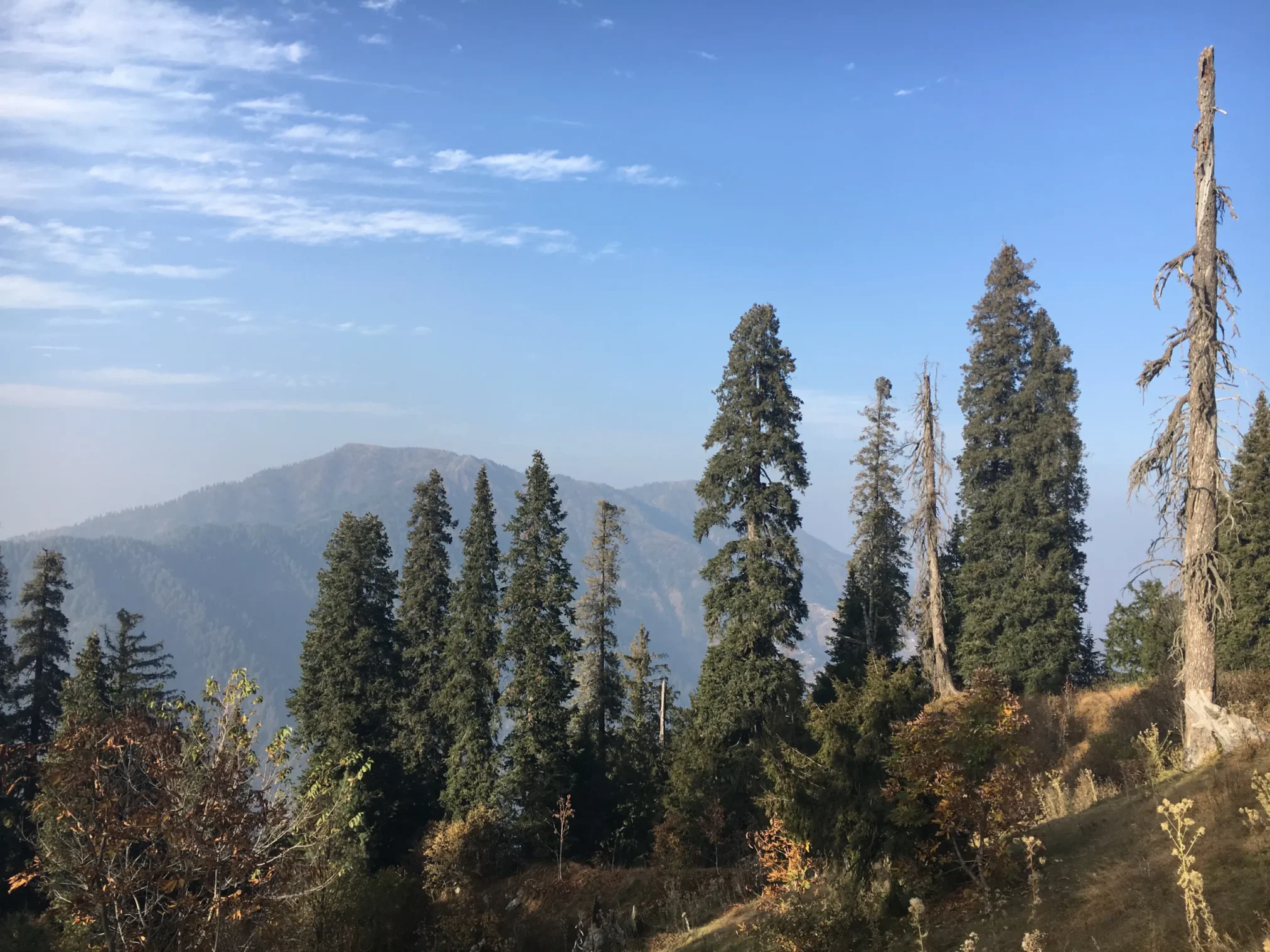 Mushkpuri Top Tour Trekking, Nature & Travel Guide (16)