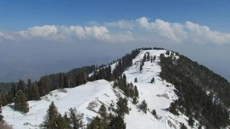 Mushkpuri Top Tour Trekking, Nature & Travel Guide (16)