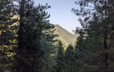 Mushkpuri Top Weather