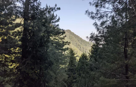 Mushkpuri Top Weather