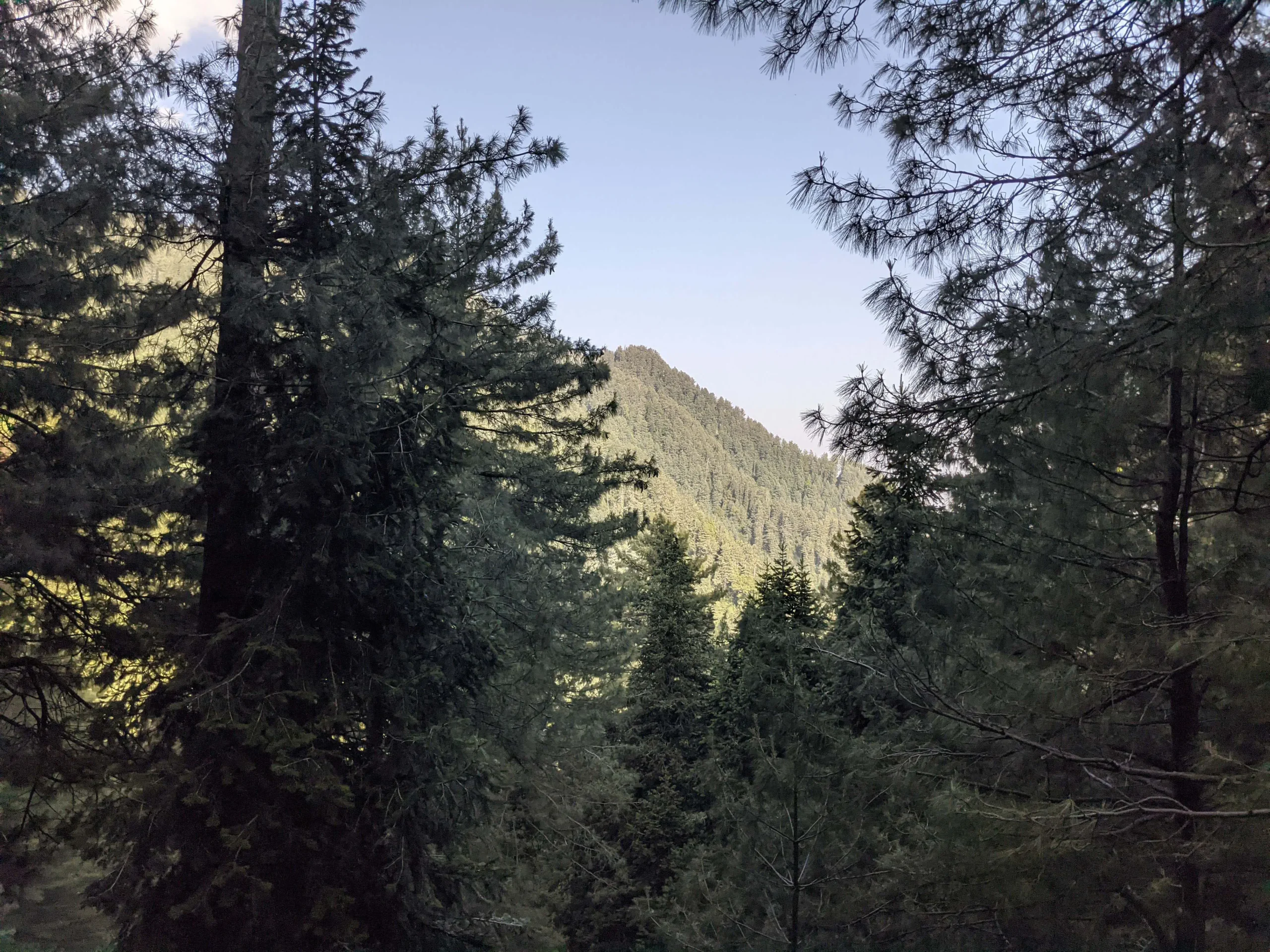 Mushkpuri Top Weather