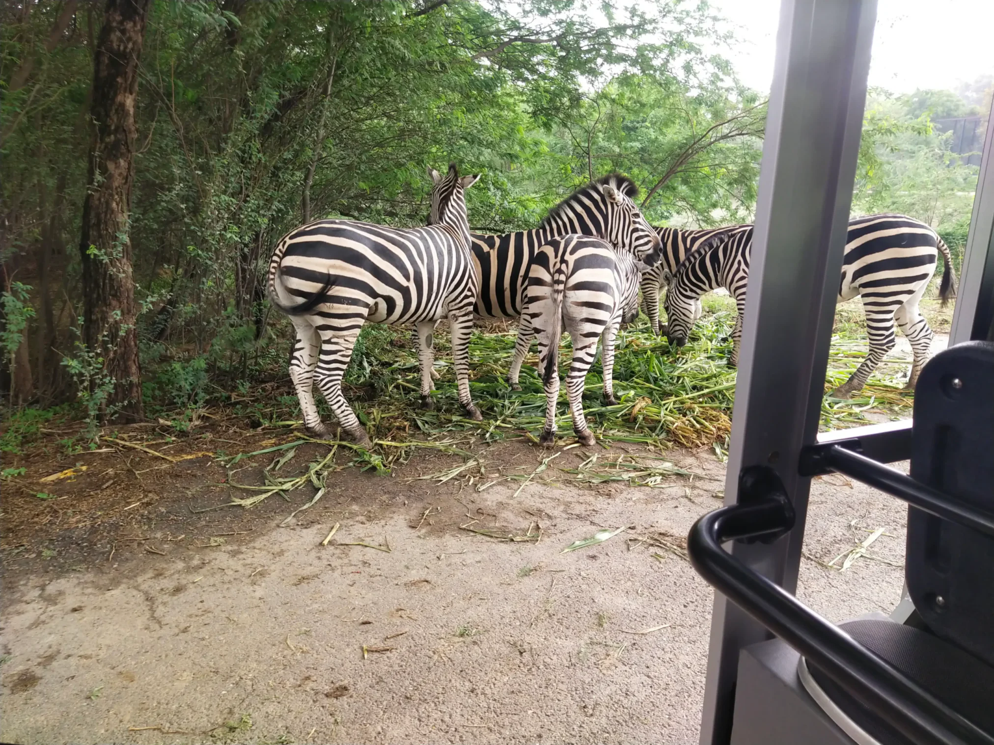 Amusement Parks in Lahore