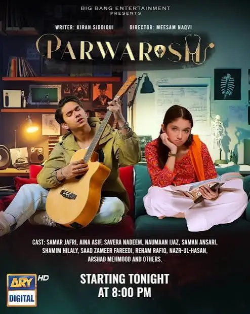Top 30 Pakistani Dramas 2025 (1)