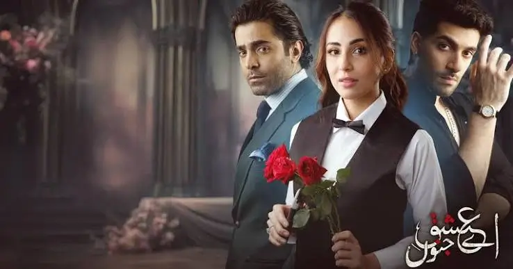 Top 30 Pakistani Dramas 2025