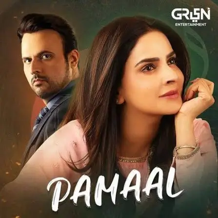 Top 30 Pakistani Dramas 2025