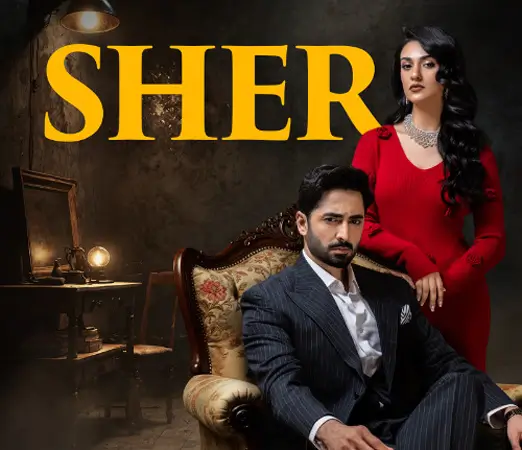 Top 30 Pakistani Dramas 2025