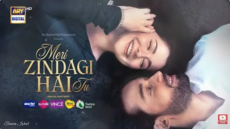 Top 30 Pakistani Dramas 2025 (1)