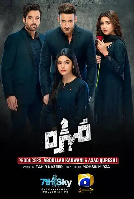 Top 30 Pakistani Dramas 2025 (1)
