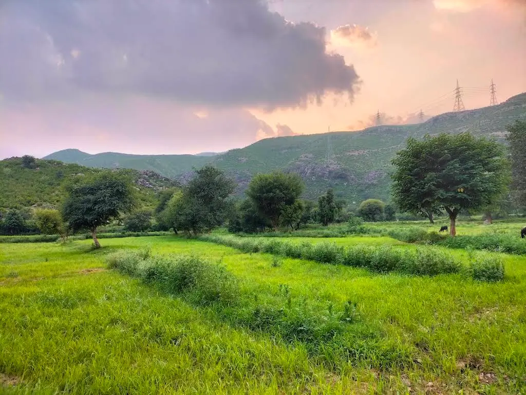 Haripur Postal Code Pakistan (2)
