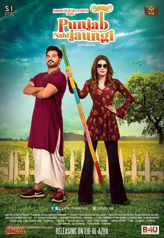 Pakistani Hit Movies (8)