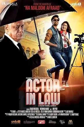 Pakistani hit Movies 2 (1)